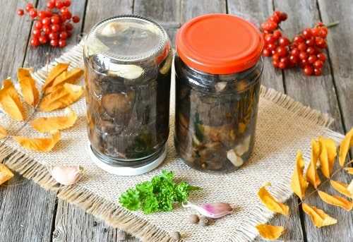 Как вкусно посолить грибы в домашних условиях: рецепты и советы