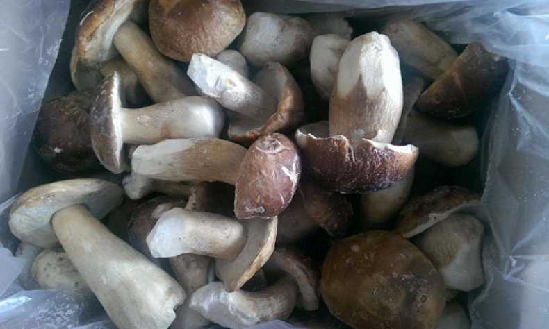 ᐉ сколько варить грибы перед заморозкой на зиму – можно ли морозить рыжики в свежем виде? - zooshop-76.ru