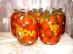 Сорта томатов для засолки, консервирования и соков.