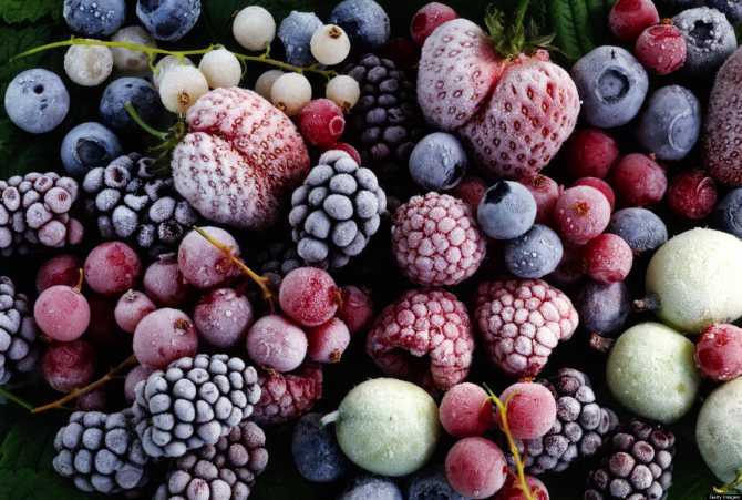 Как в домашних условиях делается вкусная и полезная настойка клюквы на спирту