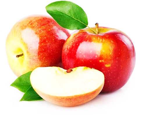Яблоки: польза и вред для организма человека, для здоровья