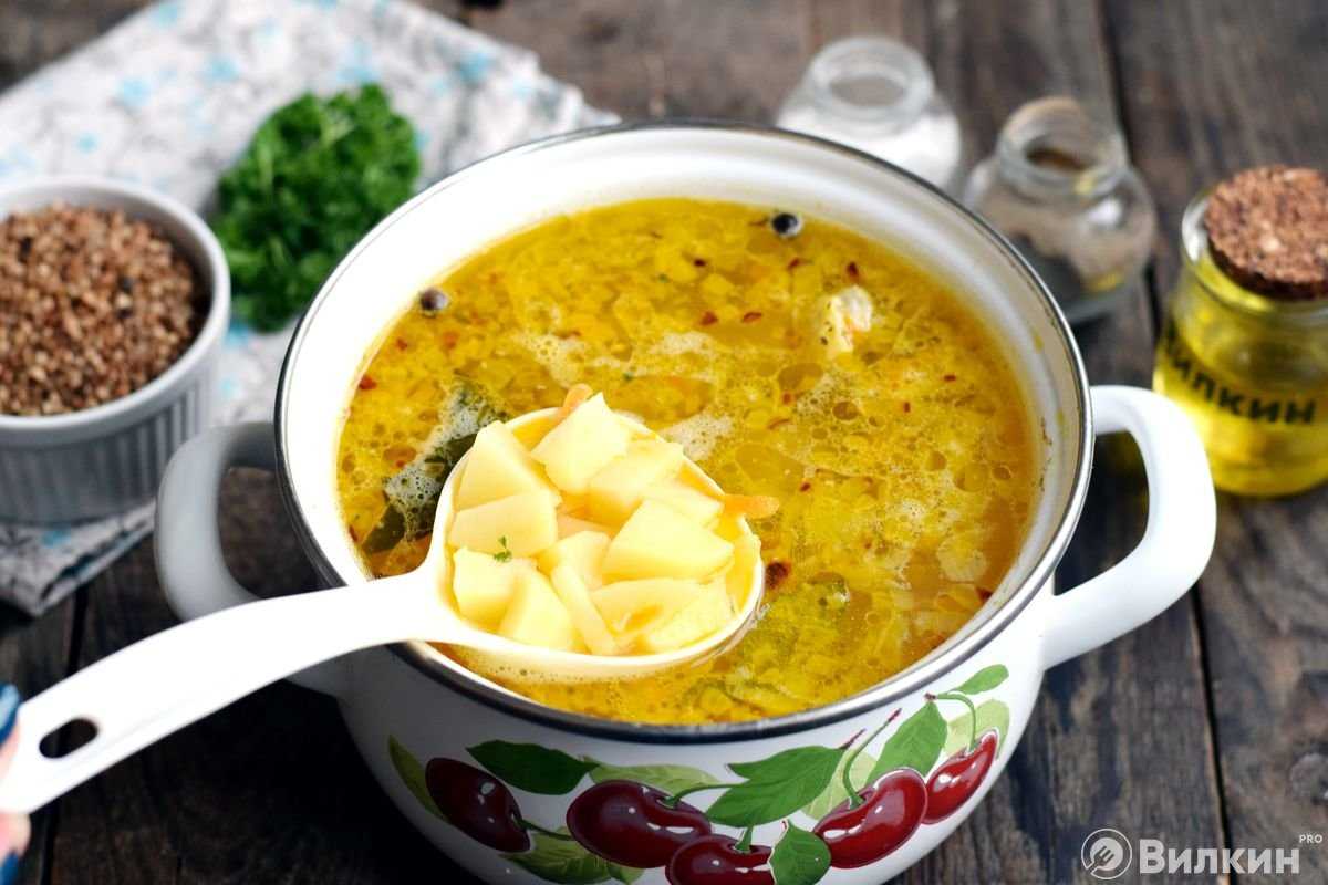 Суп из опят замороженных – аромат лета: рецепт с фото и видео