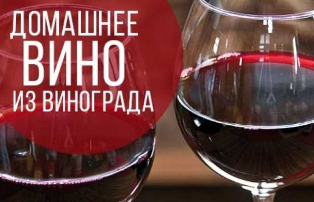 Вино из столового винограда: рецепты в домашних условиях