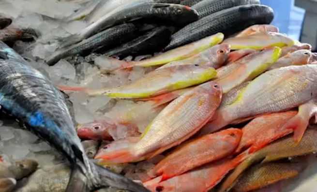 Как хранить копченую рыбу дома: полезные рекомендации и хитрости