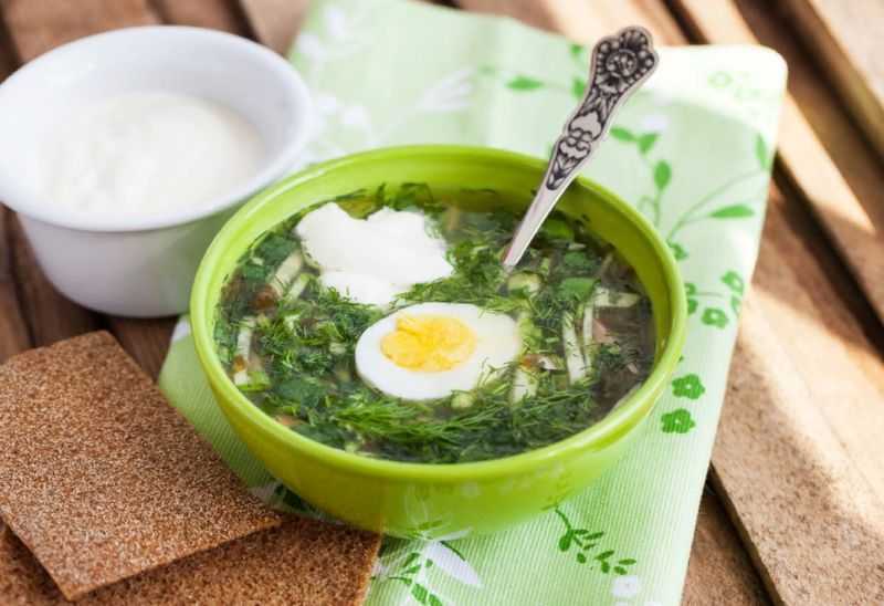 Как сварить суп из крапивы: с яйцом, с мясом, со щавелем, постный
