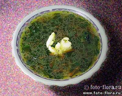 Каша из крапивы - пошаговый рецепт приготовления с фото