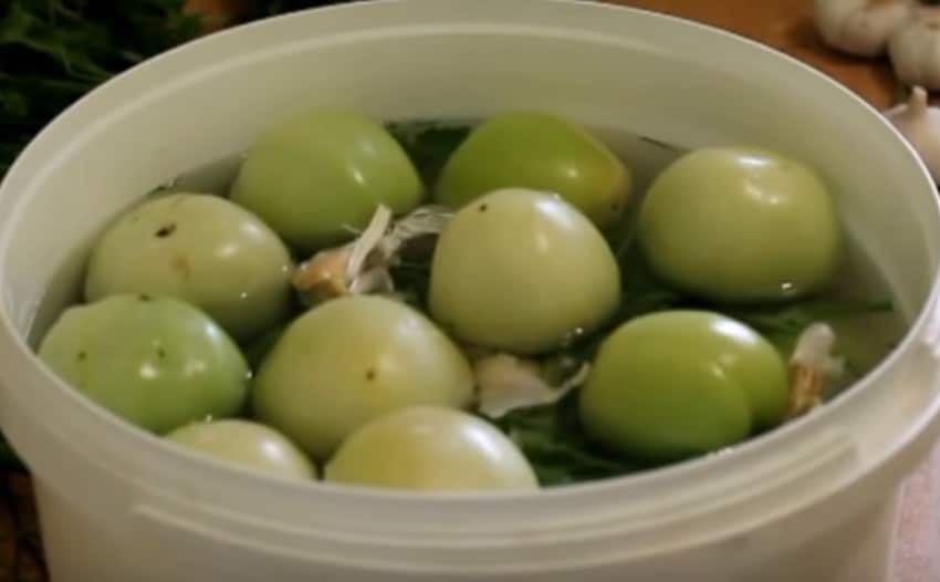 Соленые зеленые помидоры как бочковые – очень вкусные рецепты в банках и в кастрюле