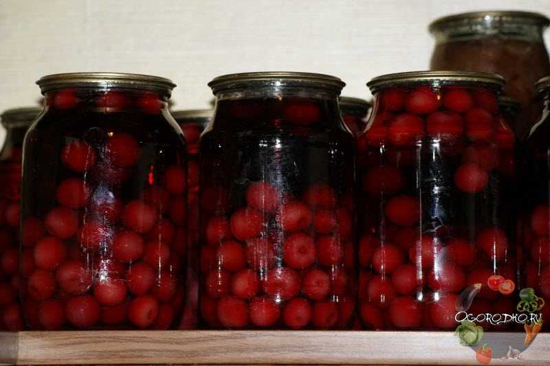 Компот из вишни на зиму – самые простые рецепты на 3, 2 и 1 литровую банку
