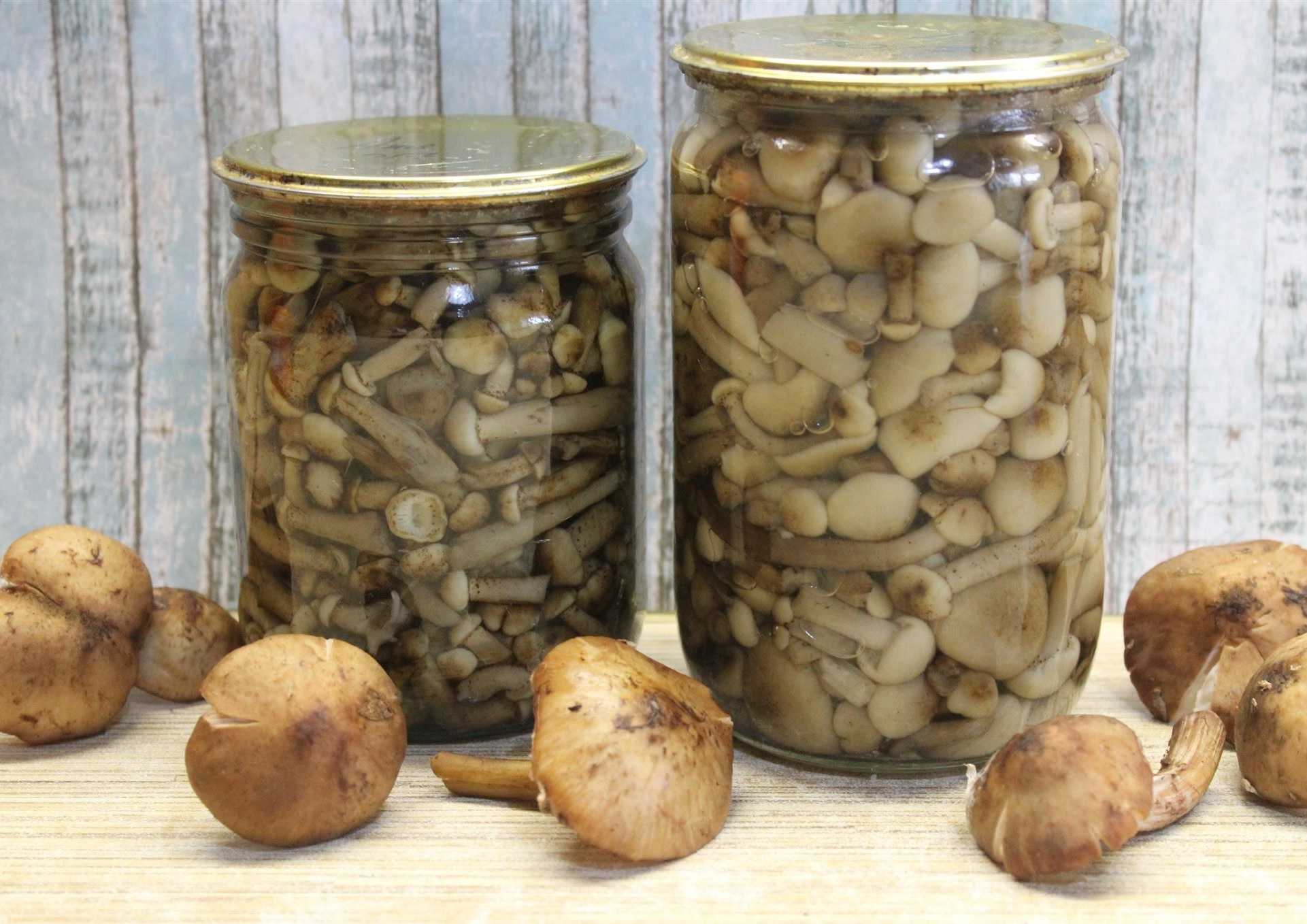 Маринад для грибов - лучшие пошаговые рецепты приготовления в домашних условиях с фото