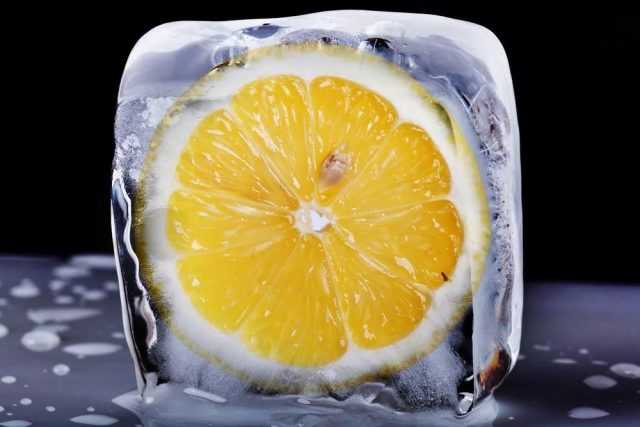 Как хранить лимоны в домашних условиях, чтобы не испортились: 13 лучших способов