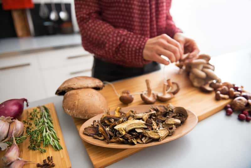 Правильная сушка грибов в домашних условиях