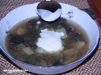 Супы из замороженных опят: рецепты вкусных первых блюд