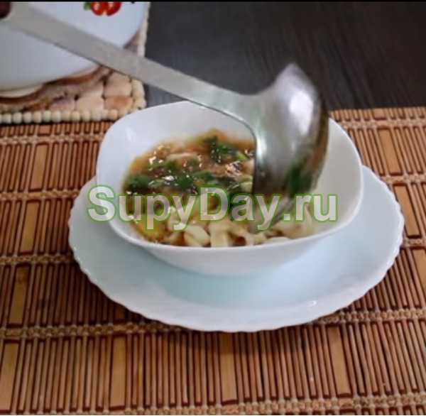 Грибной суп с курицей - объедение, пальчики оближешь: рецепт с фото и видео
