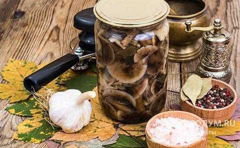 Как готовить сыроежки быстро и вкусно - грибы собираем