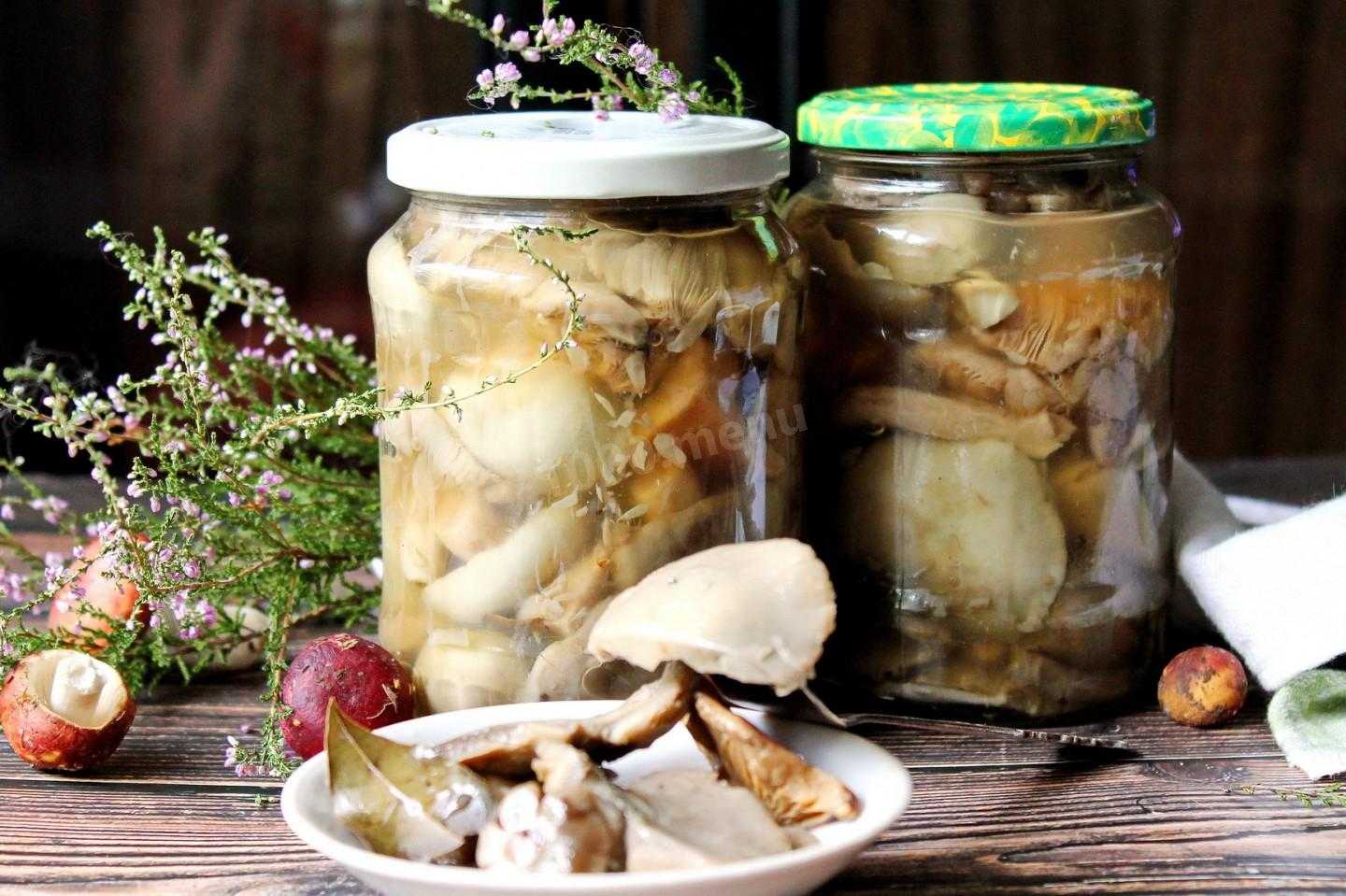 Сыроежки на зиму: фото, рецепты приготовления грибов с пошаговой инструкцией