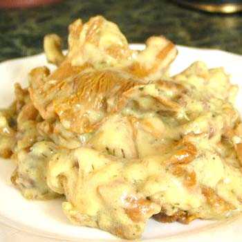 Сливочно грибной соус из лисичек. лисички в сметане - рецепты приготовления с мясом, картошкой и сыром на сковороде или в духовке