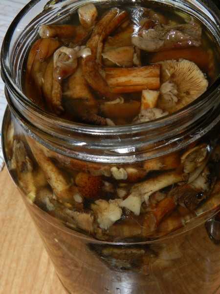 Как мариновать грибы: рецепты с фото