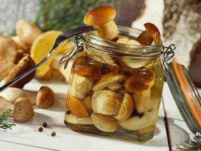 Икра из соленых грибов: 19 лучших рецептов приготовления, правила хранения