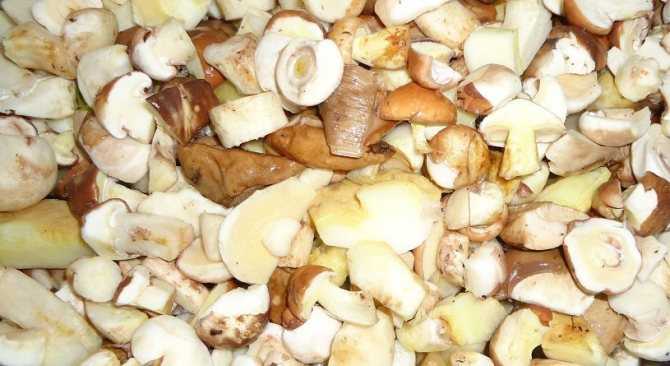 Как приготовить жареные белые грибы? рецепты приготовления грибов на сковороде