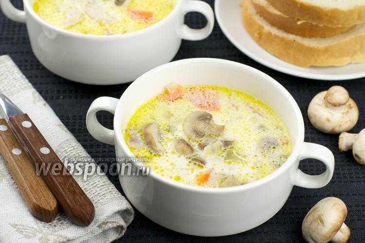 Грибной соус из сушеных грибов: рецепты приготовления со сметаной и молоком