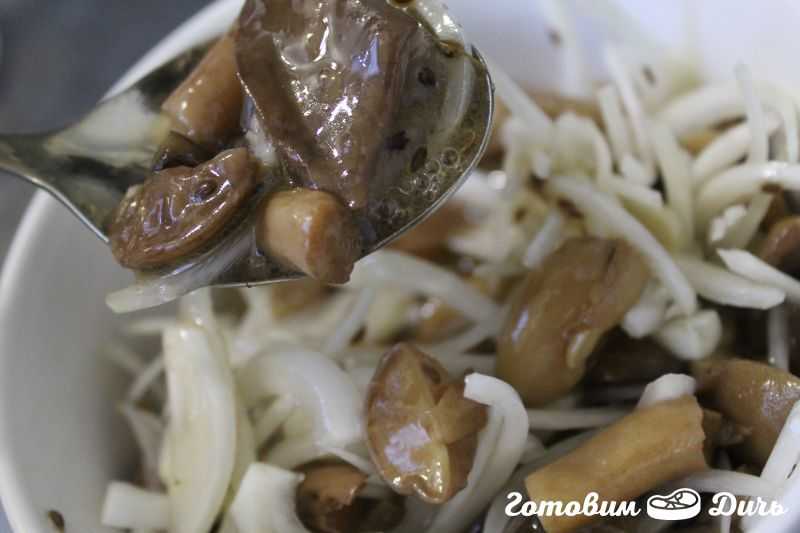 Салаты с маринованными, жареными и вареными маслятами: фото и рецепты вкусных грибных закусок
