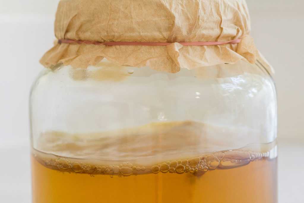 Чайный гриб – как ухаживать и употреблять. как приготовить напиток из чайного гриба